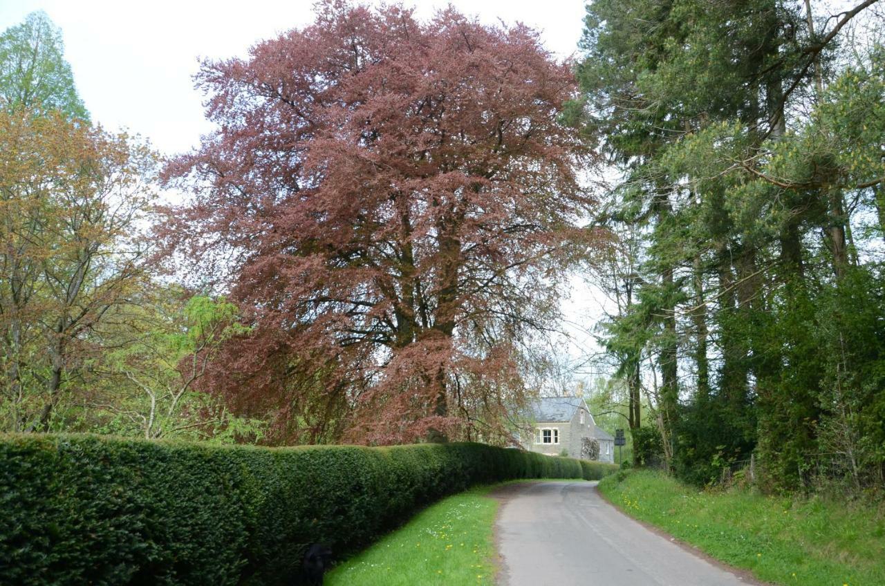 Rosedale Retreat Bed And Breakfast Hay-On-Wye Exteriér fotografie